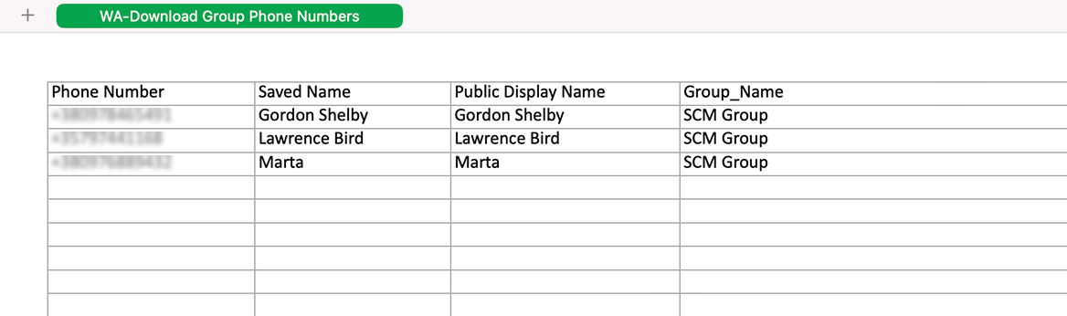 Exported contacts from WhatsApp in CSV