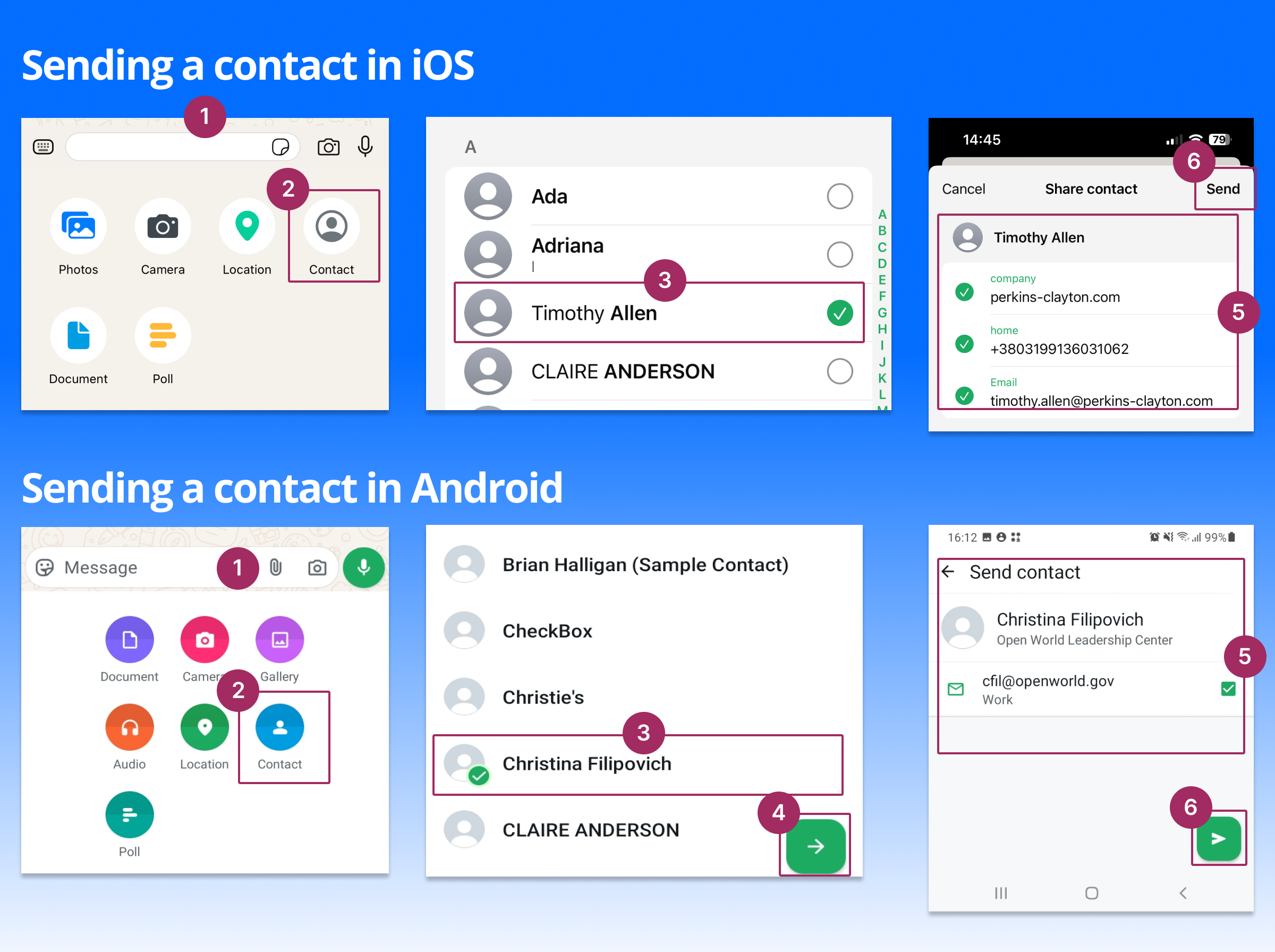 How to share a WhatsApp contact in chat in iOS and Android